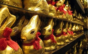 bunny_2522510b